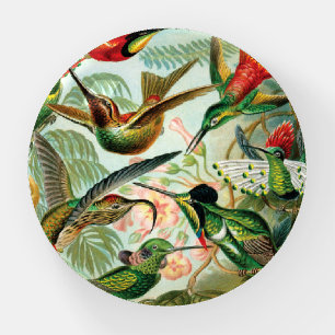 Hummingbirds by Ernst Haeckel Paperweight