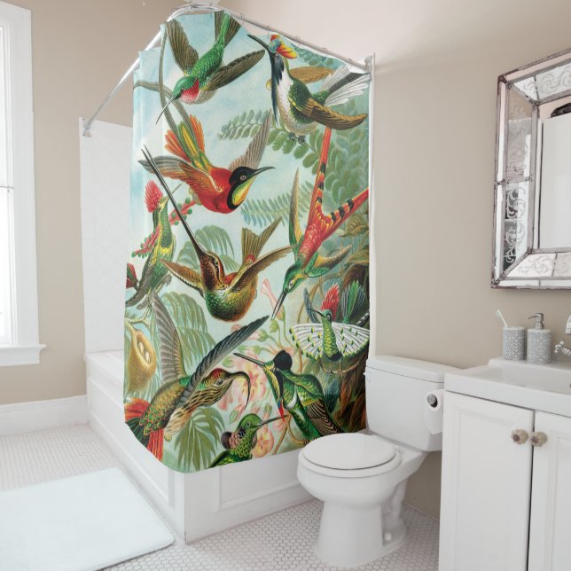 Hummingbirds by Ernst Haeckel Shower Curtain (In Situ)
