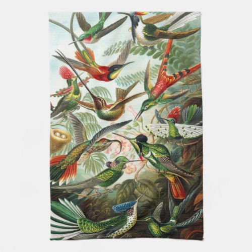 Hummingbirds by Ernst Haeckel Towel