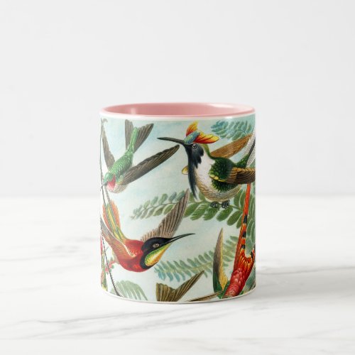 Hummingbirds by Ernst Haeckel Two_Tone Coffee Mug