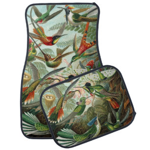 Hummingbirds by Ernst Haeckel, Vintage Birds Trees Car Floor Mat