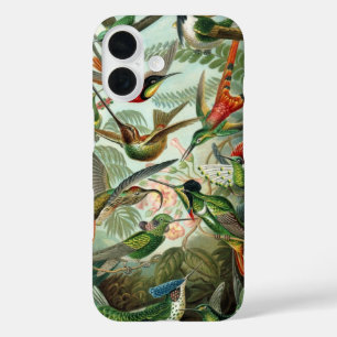 Hummingbirds by Ernst Haeckel, Vintage Birds Trees iPhone 16 Case