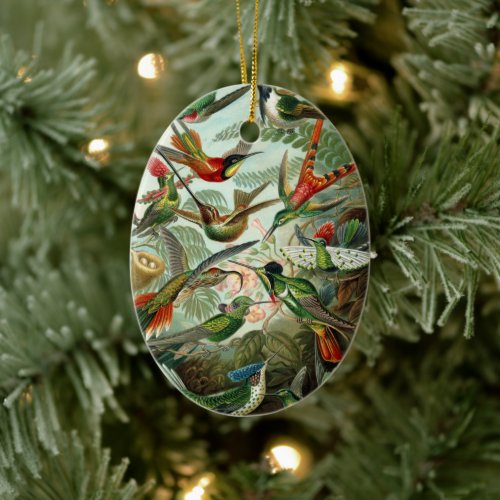 Hummingbirds by Ernst Haeckel Vintage Birds Trees Ceramic Ornament