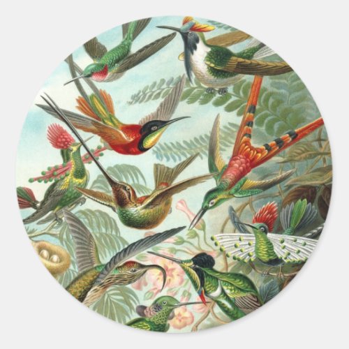 Hummingbirds by Ernst Haeckel Vintage Birds Trees Classic Round Sticker