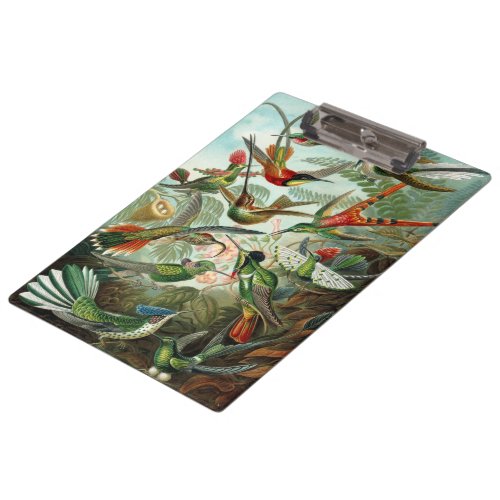 Hummingbirds by Ernst Haeckel Vintage Birds Trees Clipboard