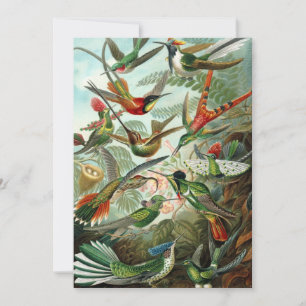 Hummingbirds by Ernst Haeckel, Vintage Birds Trees Invitation