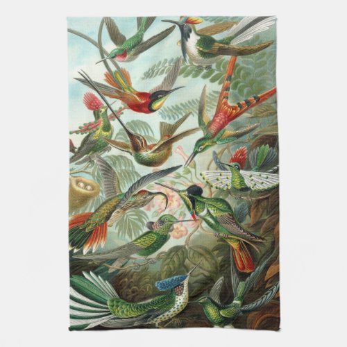 Hummingbirds by Ernst Haeckel Vintage Birds Trees Kitchen Towel