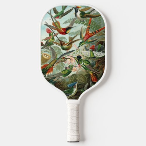 Hummingbirds by Ernst Haeckel Vintage Birds Trees Pickleball Paddle