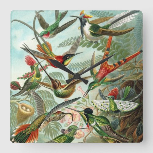Hummingbirds by Ernst Haeckel Vintage Birds Trees Square Wall Clock