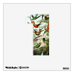 Hummingbirds by Ernst Haeckel Wall Decal