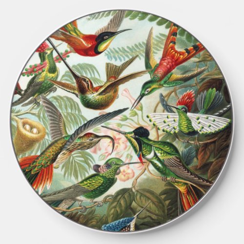 Hummingbirds by Ernst Haeckel Wireless Charger