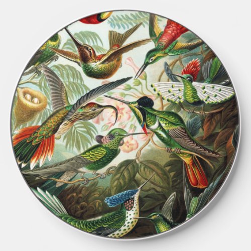 Hummingbirds by Ernst Haeckel Wireless Charger