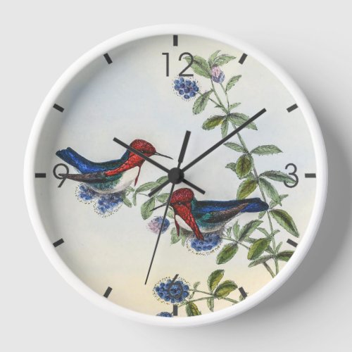 Hummingbirds by John Gould Clock