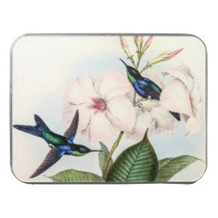 Hummingbirds by John Gould Jigsaw Puzzle