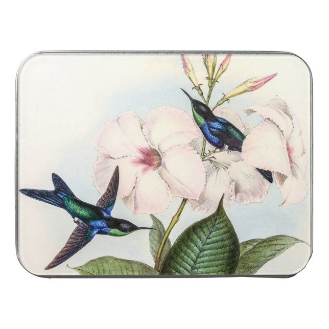 Hummingbirds by John Gould Jigsaw Puzzle (Case Horizontal)