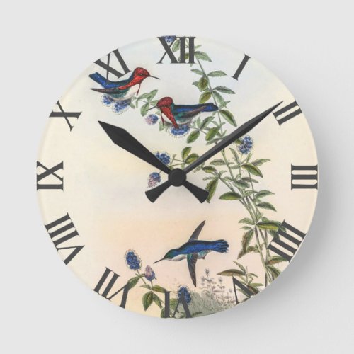Hummingbirds by John Gould Round Clock