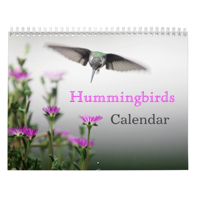 HUMMINGBIRDS  Calendar (Cover)