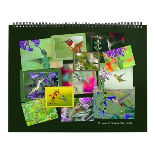 HUMMINGBIRDS  Calendar