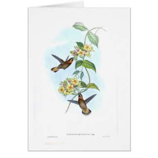 Hummingbirds Cards