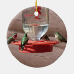 Hummingbirds Circle Ornament at Zazzle