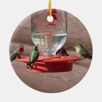 Hummingbirds Circle Ornament by Rinchen365flower at Zazzle