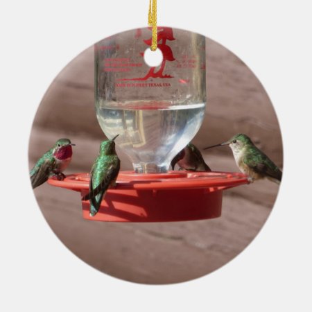 Hummingbirds Circle Ornament