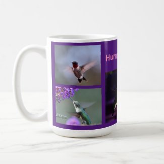 Christmas gift ideas for the hummingbird lover - Hummingbirds classic coffee mug