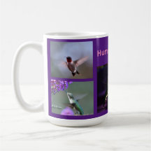 Hummingbirds Classic