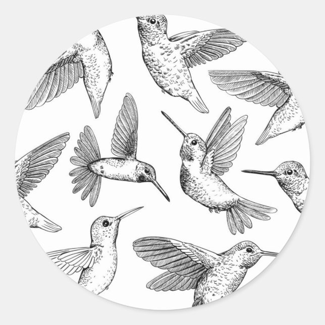 Hummingbirds Classic Round Sticker (Front)