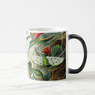 Hummingbirds Color Morph Mug