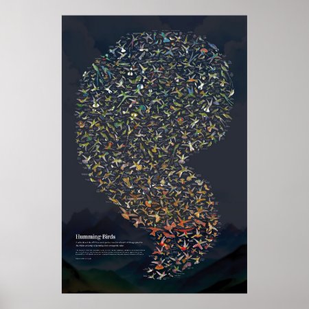 Hummingbirds - Dark Poster