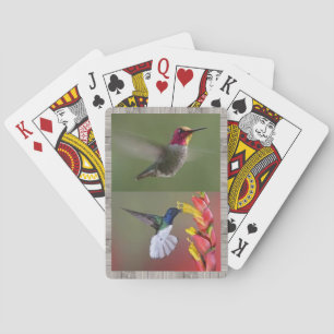 Hummingbirds Deck of Playing Cards