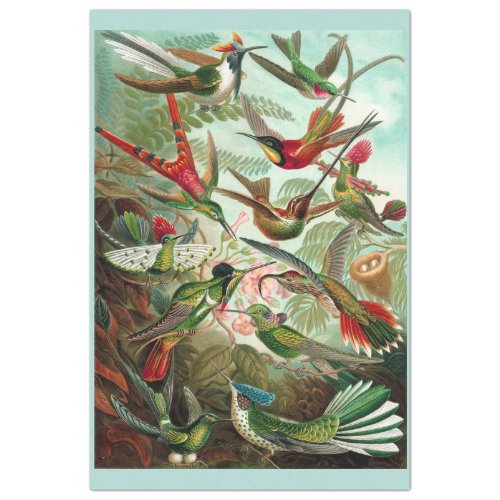  Hummingbirds Decoupage Tissue Paper