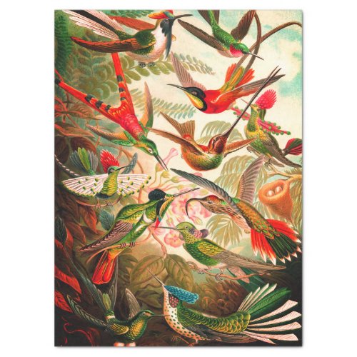  Hummingbirds Decoupage Tissue Paper