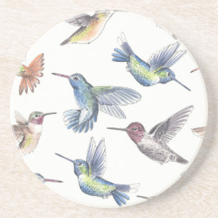 Hummingbirds Drink Coaster