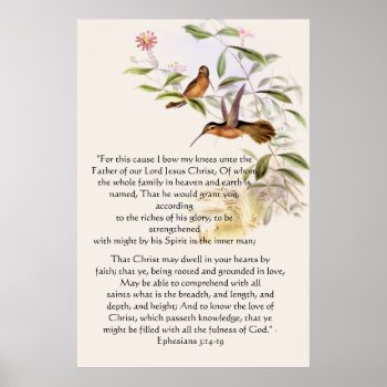 Hummingbirds Ephesians 3 Print by farmer77 at Zazzle