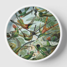  Hummingbirds - Ernst Haeckel