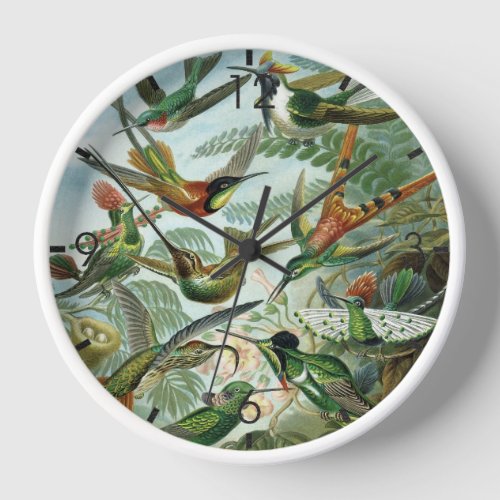  Hummingbirds _ Ernst Haeckel Clock