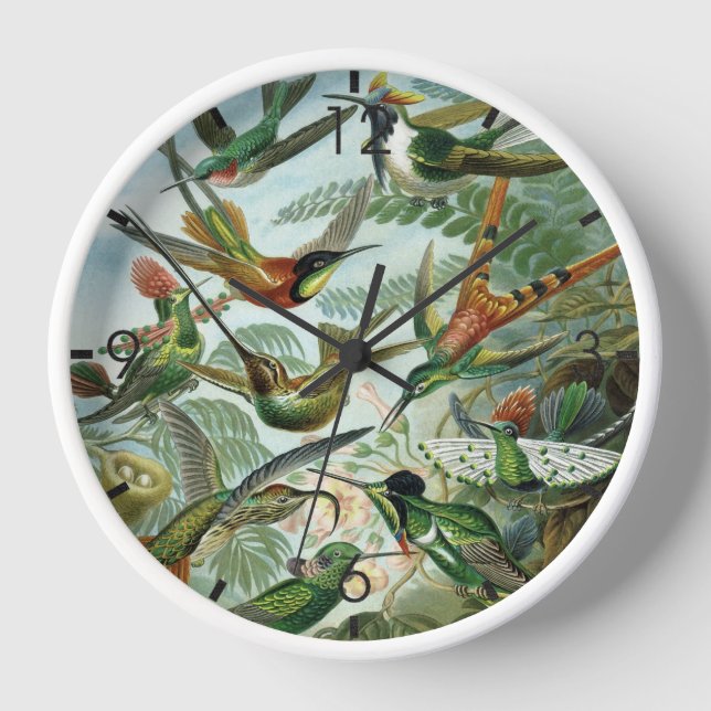  Hummingbirds - Ernst Haeckel Clock (Front)