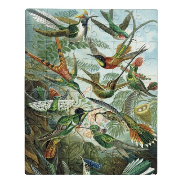  Hummingbirds - Ernst Haeckel Jigsaw Puzzle (Puzzle Vertical)