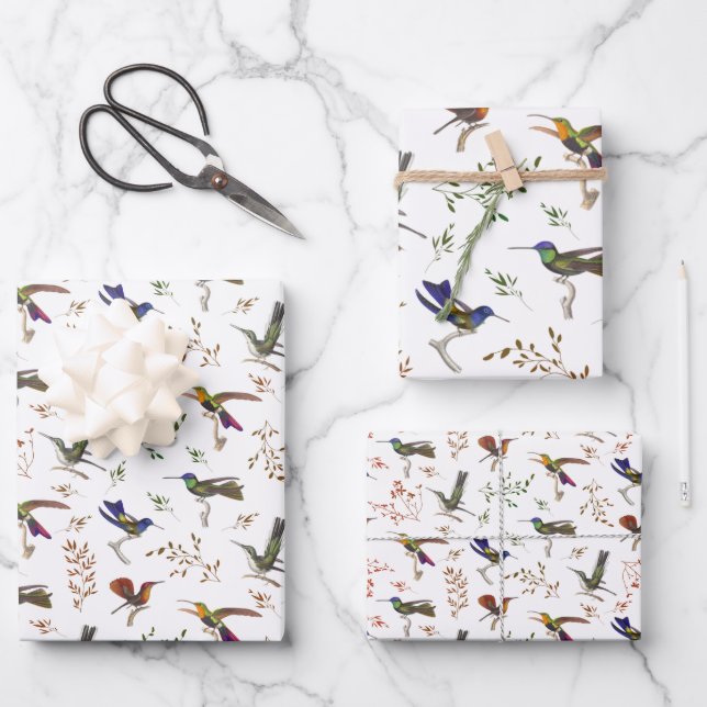 Hummingbirds Floral Colorful Bird Watcher Wrapping Paper Sheets (Front)