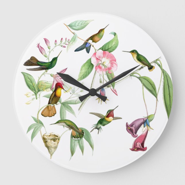 Hummingbirds Flowers Birds Wildlife Animals Floral Large Clock (Front)