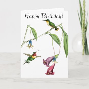 Hummingbirds & Flowers Birthday Card by farmer77 at Zazzle