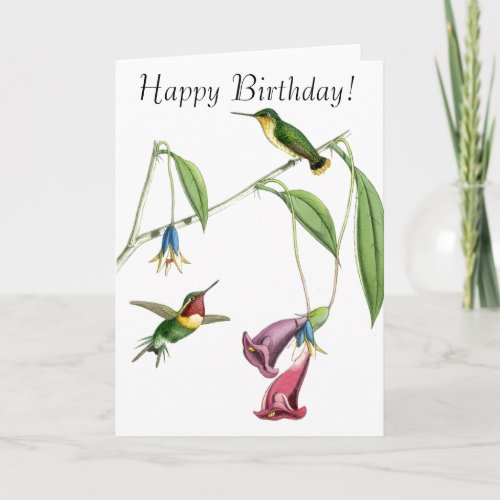 Hummingbirds  Flowers Birthday Card