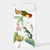 Hummingbirds & Flowers iPhone 5C Case (Back)