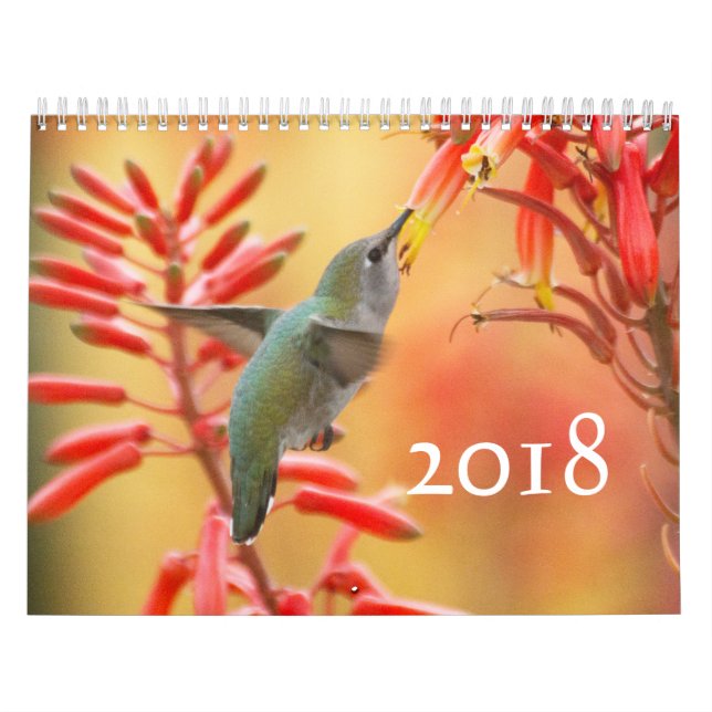 Hummingbirds galore calendar (Cover)