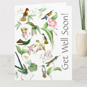 Hummingbirds Get Well Soon From All of Us Big Card