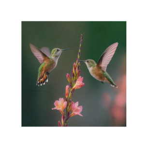 Hummingbirds Gladiolus Flowers Iridescent Pair Wood Wall Art