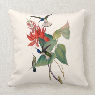 Hummingbirds in Coral Bean Botanical Throw Pillow