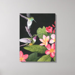 Hummingbirds In the Plumeria Canvas Print
